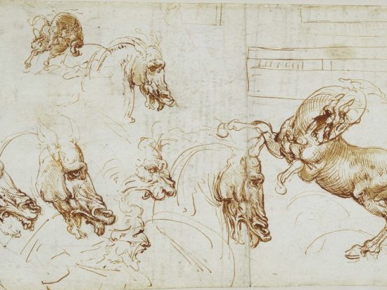 Leonardo da Vinci: Ten drawings from the Royal Collection