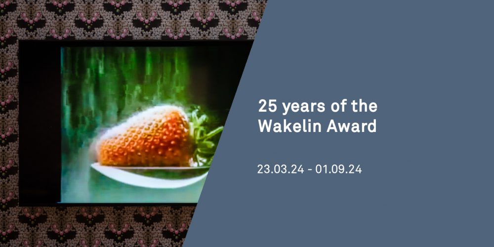 Celebrating 25 years of the Wakelin Award