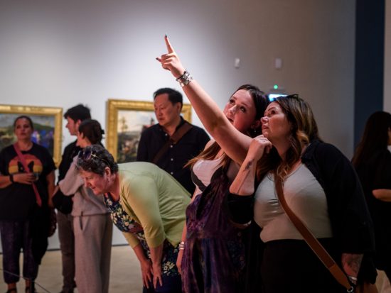 Glynn Vivian at Night