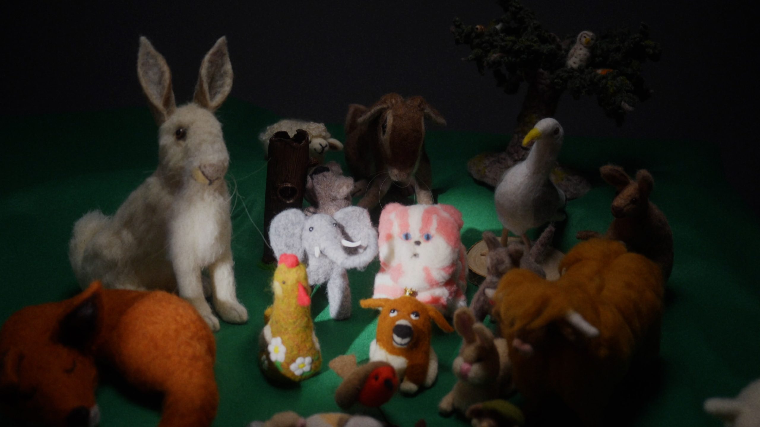 Gweithdai creadigol: Ffilmio Fideo