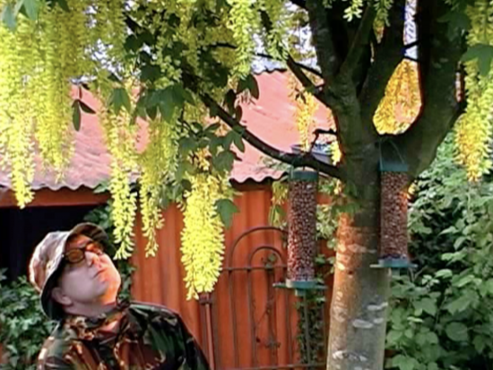 Creative Workshops for young people (age 13-17): Performance Art with Nature